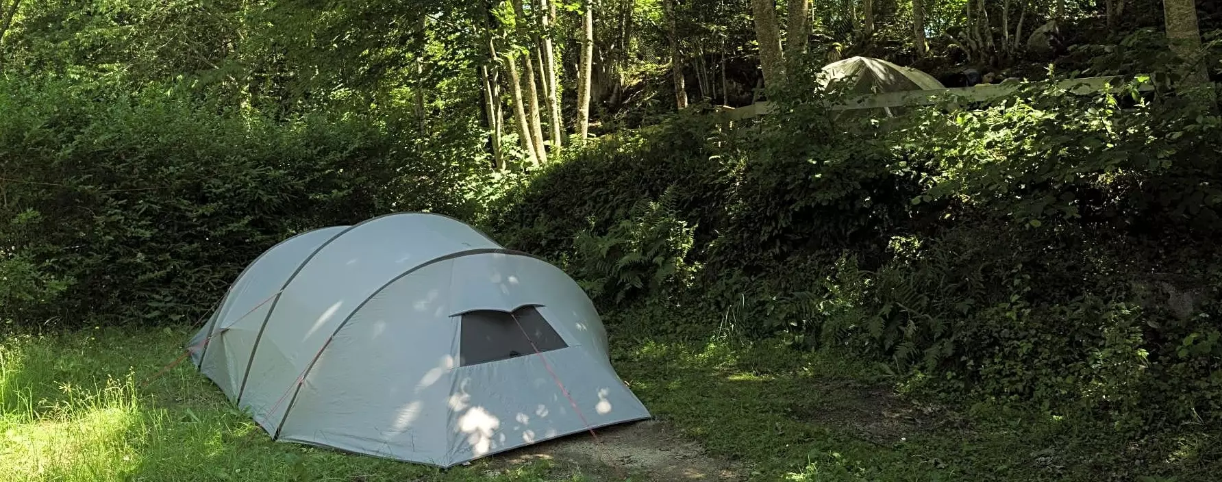 Tente en forêt