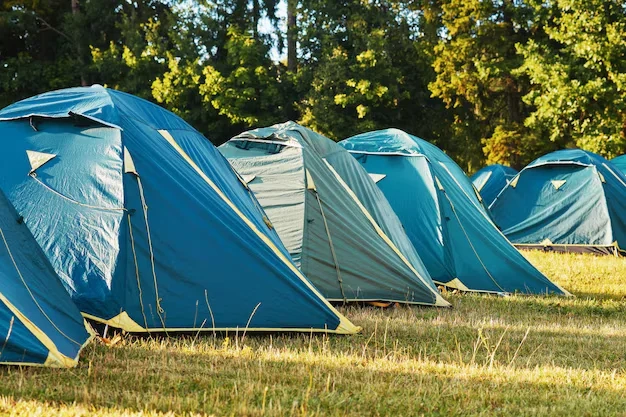 Tente en forêt
